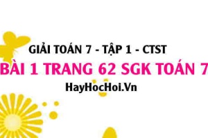 Giải bài 1 trang 62 Toán 7 Tập 1 SGK Chân trời sáng tạo